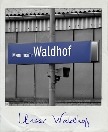 Die Geschichte der Mannheimer Stadtteile Waldhof, Gartenstadt und Luzenberg.